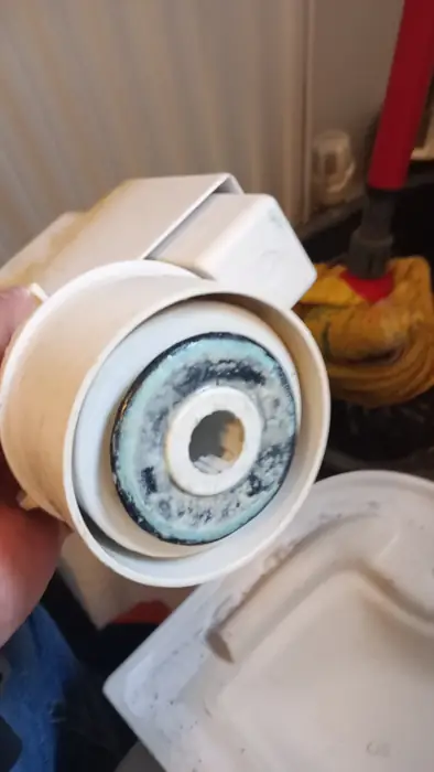 Toilet flush valve with limescale build-up